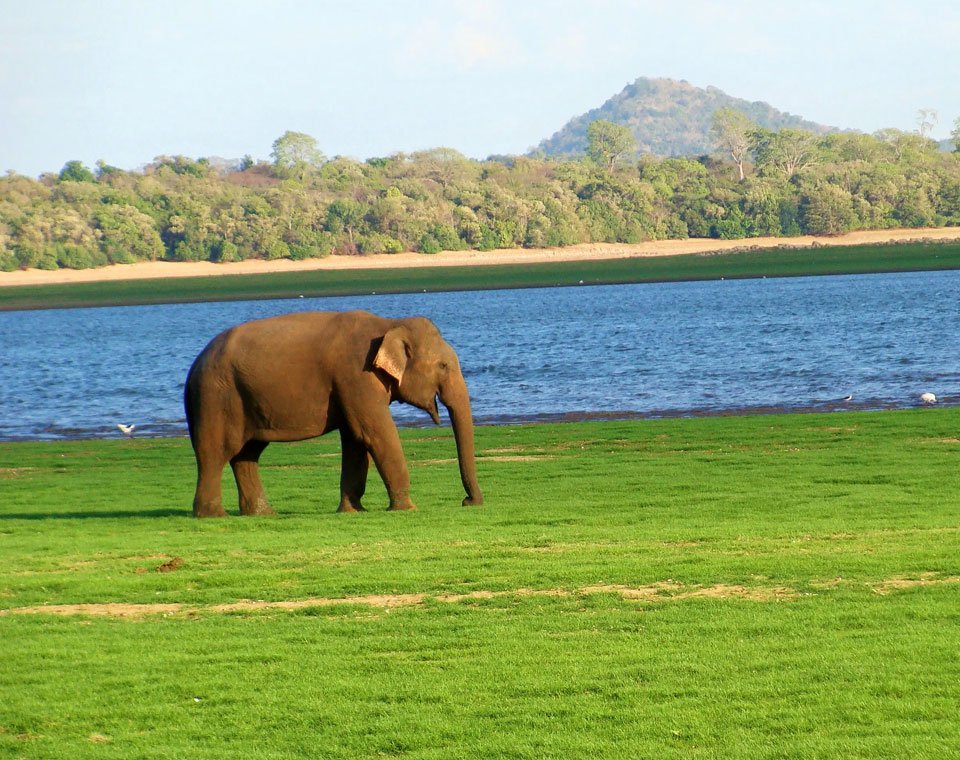 Maduru Oya National Park