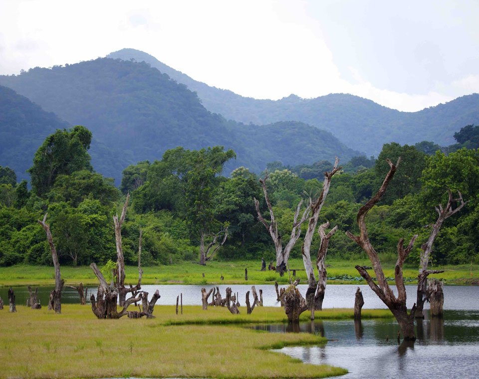 Gal Oya National Park