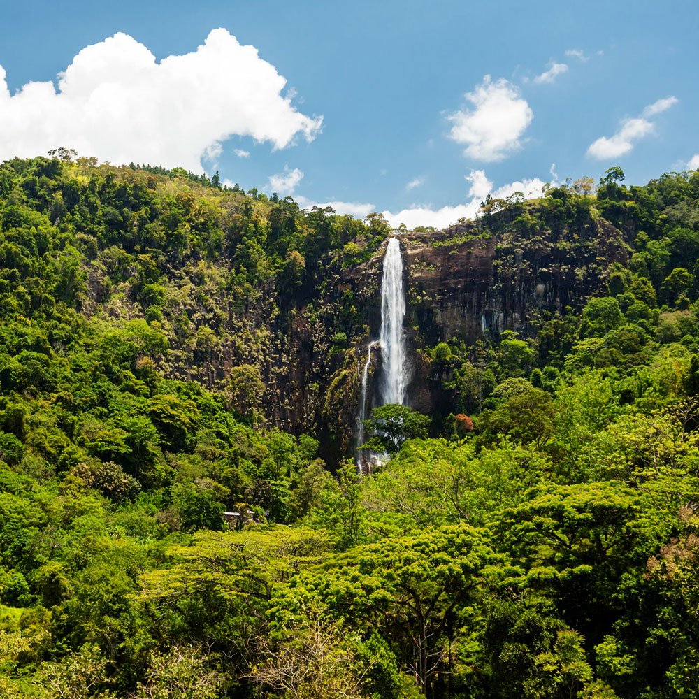 Bambarakanda Waterfall & Ohiya Trek