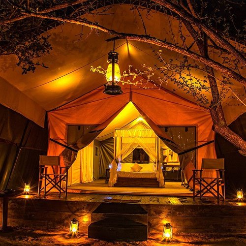 Safari Camping in Yala National Park